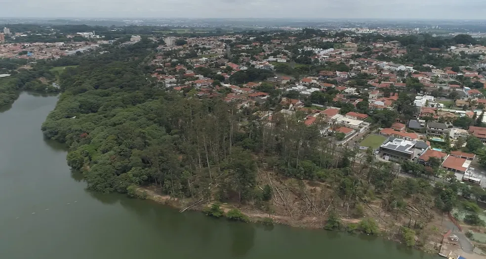 Acidentes x Arborização urbana: Arrancar as árvores é a solução? - Imagens mostram extração de árvores na Lagoa do Taquaral — Foto: Reprodução/EPTV