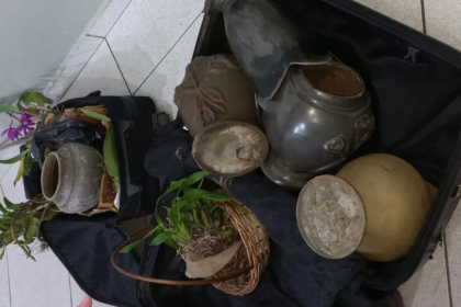 Casal é detido por furto de vasos de bronze no Cemitério Saudades em Limeira — Foto: Guarda Municipal de Limeira/Divulgação