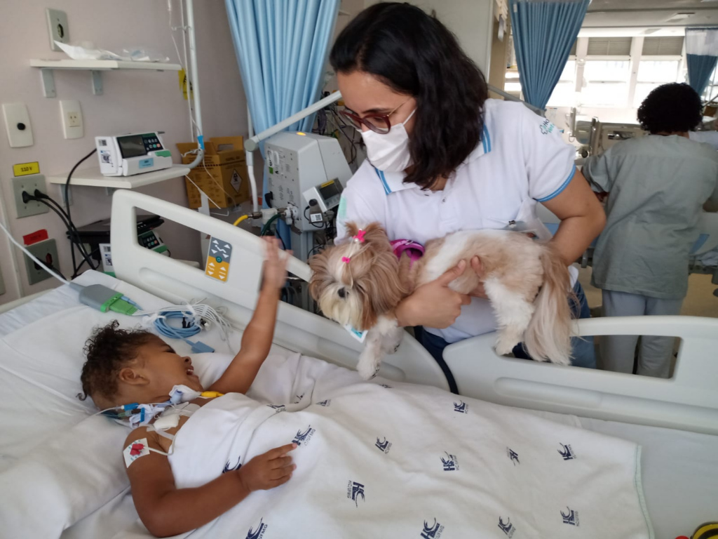 Projeto prevê que pacientes possam receber visita do animal de estimação no hospital - Foto: Reprodução/Gov.br