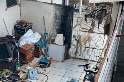 Homem é preso por maus-tratos animais na região central de Capivari - Foto: Divulgação/Prefeitura de Capivari