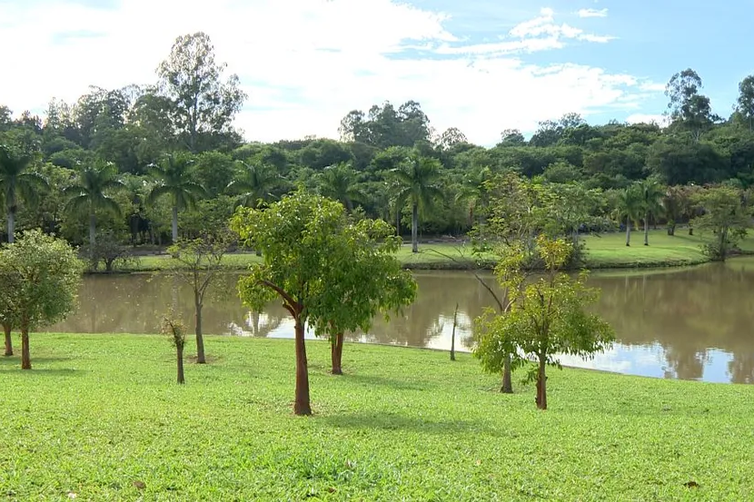 Parque Ecológico de Campinas — Foto: Reprodução/EPTV