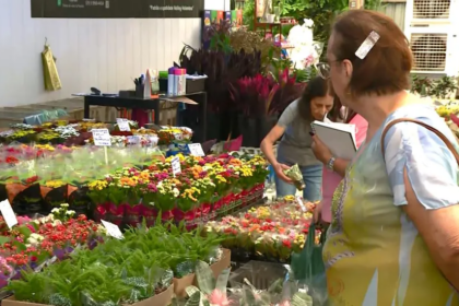 Dia das Mulheres: vendas de flores superam índices do pré-pandemia na região — Foto: Reprodução/EPTV