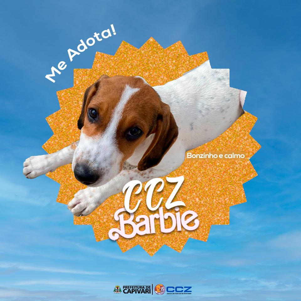 Capivari faz campanha inspirada em pôsteres do filme da Barbie para incentivar adoção de cães - Foto: Divulgação/Prefeitura de Capivari