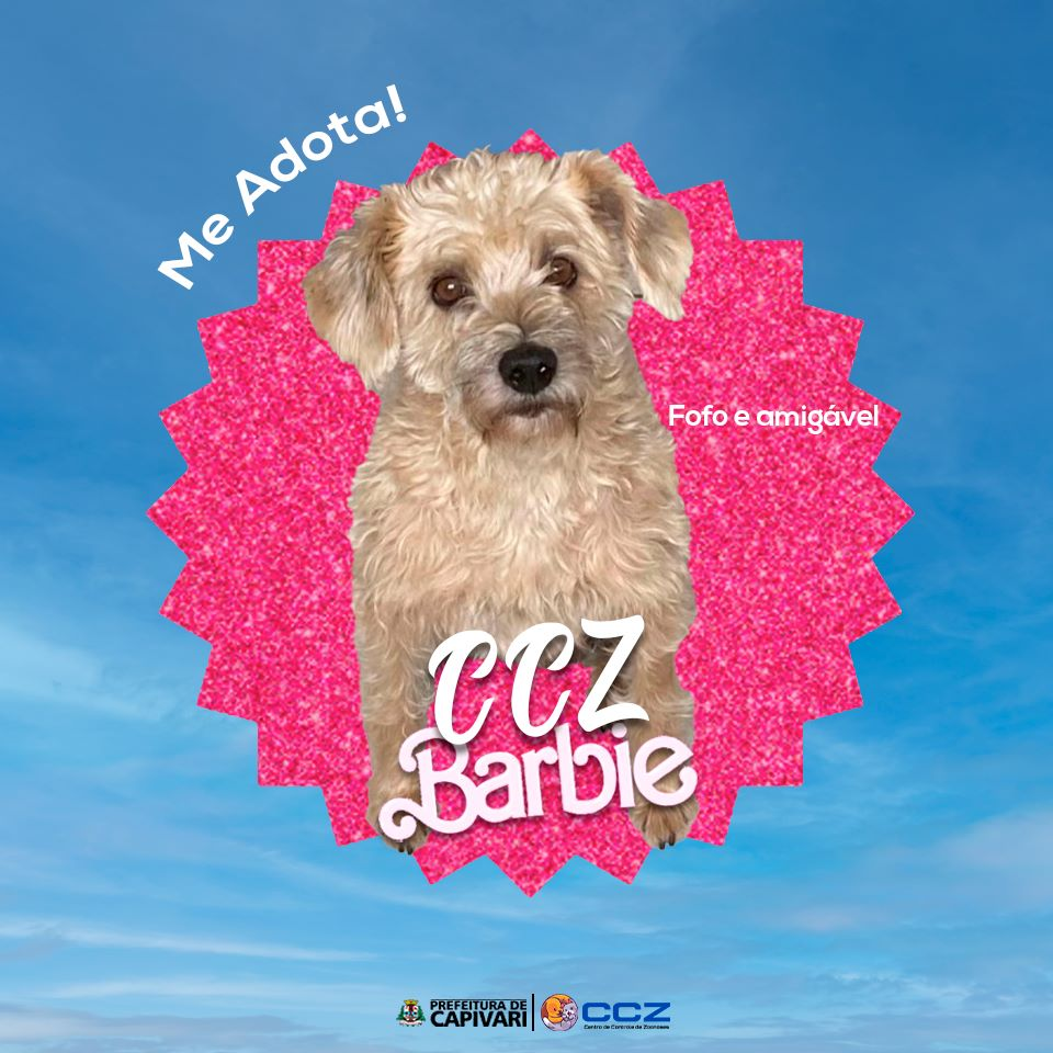 Bem-Estar Animal aproveita onda dos filmes da Barbie para divulgar animais  para adoção - ACidade ON Araraquara