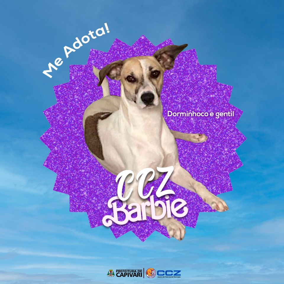 Capivari faz campanha inspirada em pôsteres do filme da Barbie para incentivar adoção de cães - Foto: Divulgação/Prefeitura de Capivari