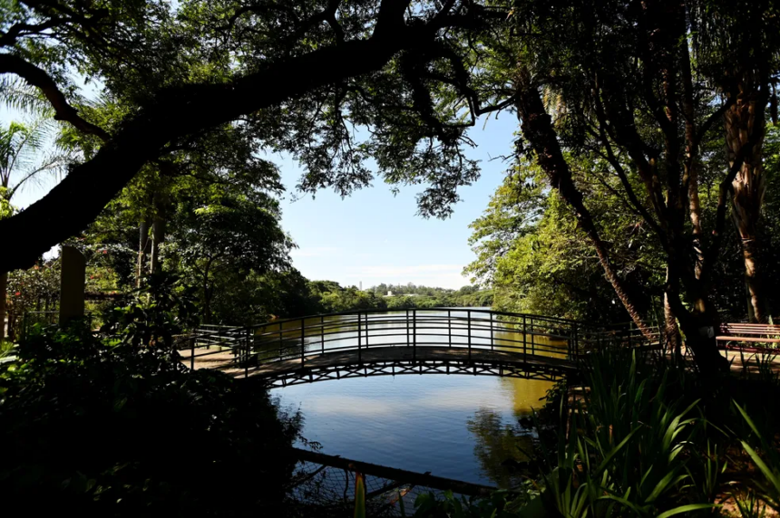 Campinas reabre Parque Ecológico em Barão Geraldo nesta terça após extrair 40 árvores — Foto: Carlos Bassan/PMC