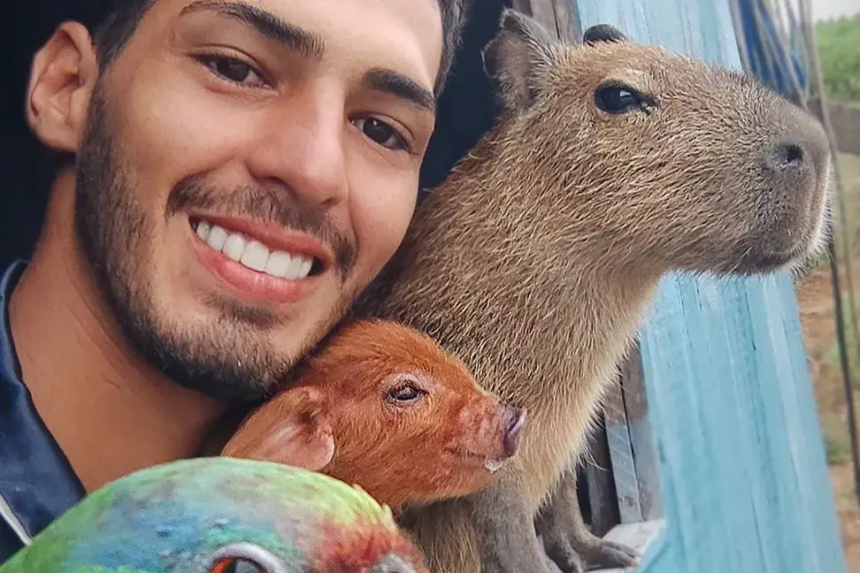 Capivara pode ser pet? Veja lista de animais que podem ser domesticados sem autorização do Ibama - Foto: Reprodução/Instagram