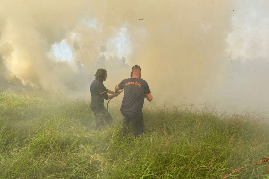 Queimada urbana é crime ambiental e pode ser denunciada por telefone em Capivari - Foto: Divulgação/prefeitura de Capivari