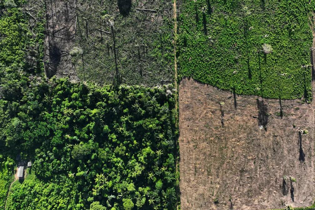 Alertas de desmatamento são feitos pelo Sistema de Detecção de Desmatamento em Tempo Real (Deter), que produz sinais diários de alteração na cobertura florestal para áreas maiores que 3 hectares (0,03 km²) — Foto: Ueslei Marcelino/Reuters