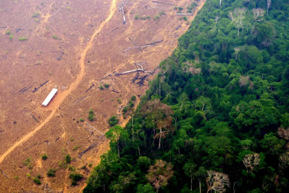 Amazônia perdeu 21 árvores por segundo em 2022, aponta levantamento do MapBiomas - Foto: DOUGLAS MAGNO / AFP