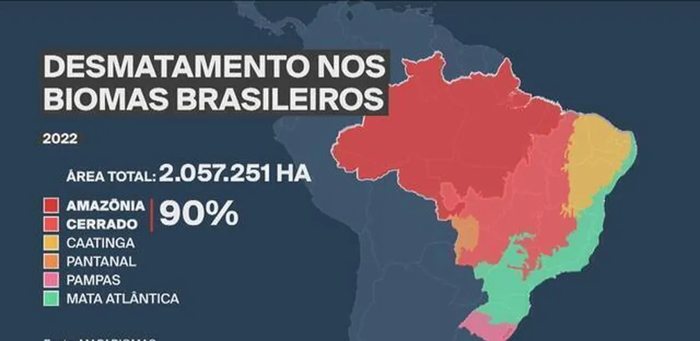 Desmatamento nos biomas brasileiros em 2022 — Foto: Arte/GloboNews