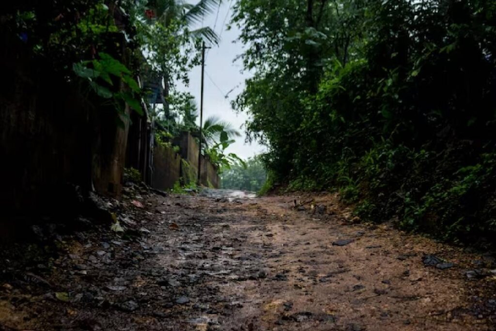 Brasil e Bolívia lideram perda da floresta Amazônica, afirma estudo