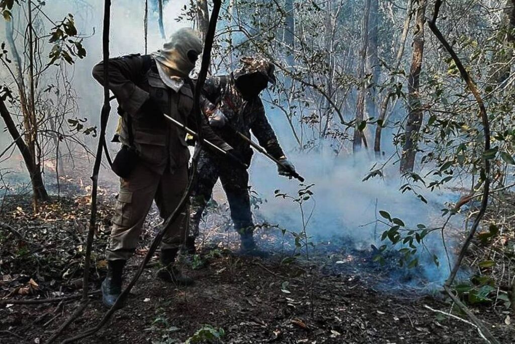 Incêndios queimaram 30% de área do Pantanal em 2020, aponta estudo - Foto: Força Nacional de Segurança Pública