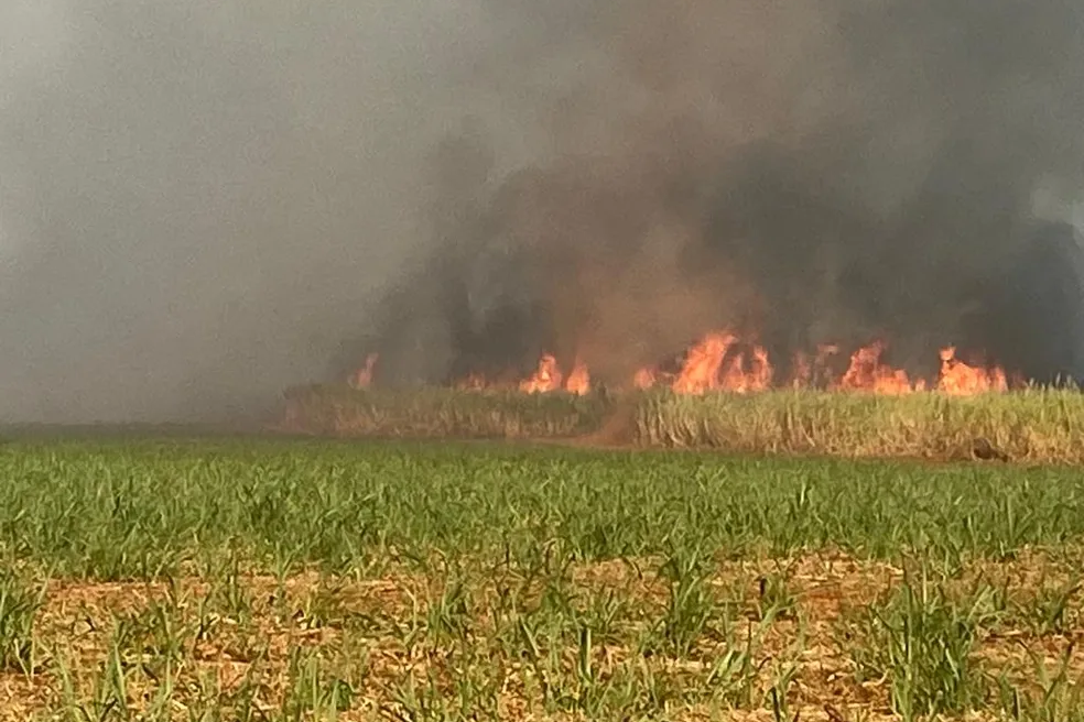 Corpo é encontrado com marcas de tiros após incêndio em canavial em Piracicaba