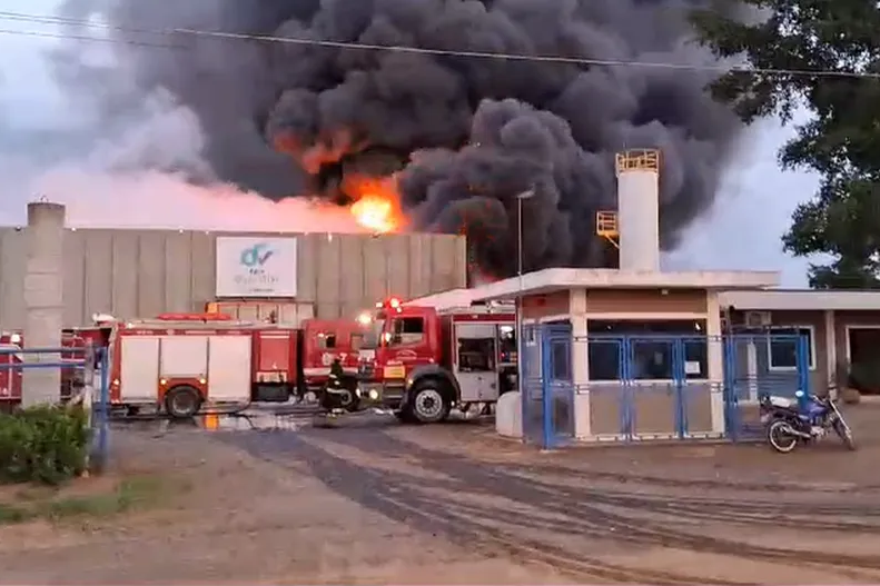 Incêndio atinge empresa de fabricação de óleos vegetais em Paulínia (SP) — Foto: Reprodução/EPTV