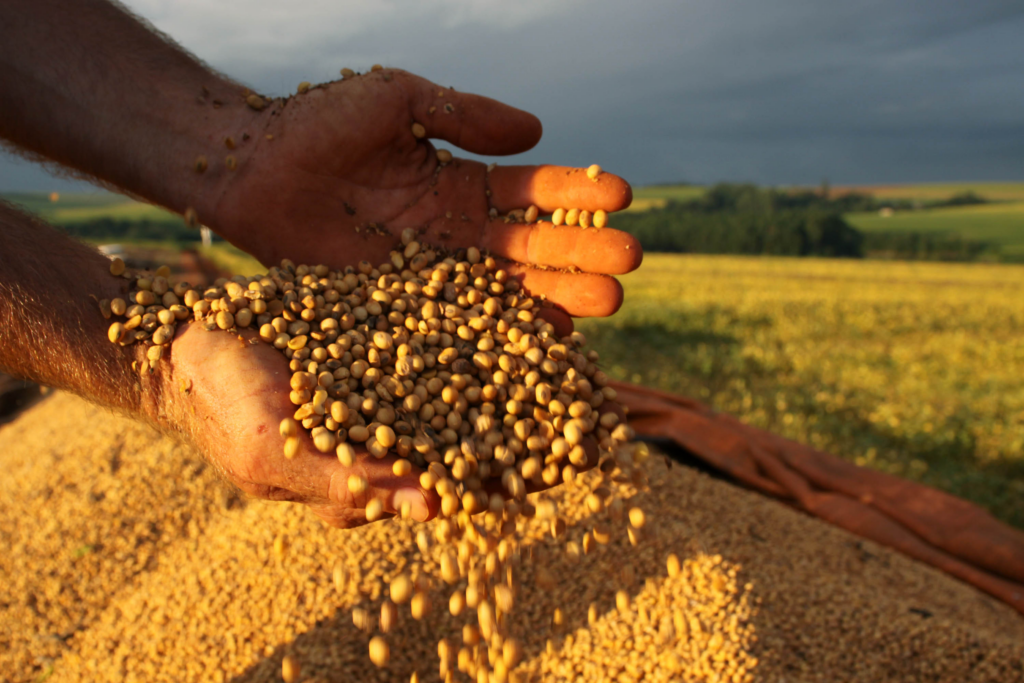 Exportações Agropecuárias Brasileiras Alcançam Novo Recorde: US$126 Bilhões em 2023 - Foto: Reprodução/ABRACOMEX