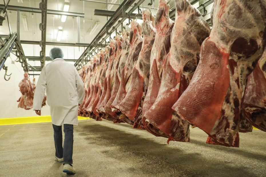 Exportações de Carne Bovina Podem Ultrapassar 200 Mil Toneladas em Novembro - Foto: Reprodução