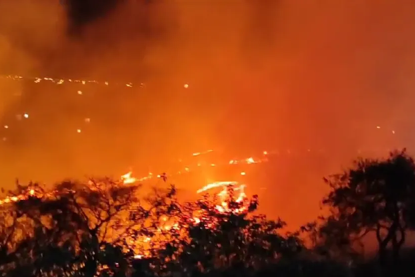 Calor e Sol Podem Provocar Incêndio? Entenda o Efeito da 'Ignição Espontânea' — Foto: Reprodução