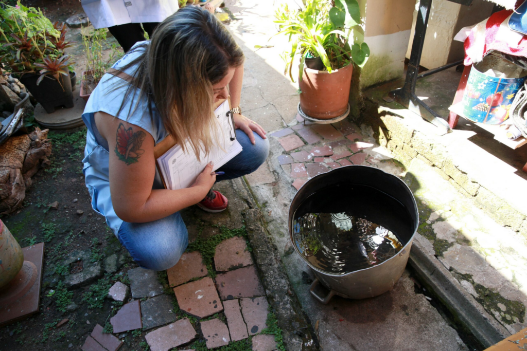 Campinas Confirma Reintrodução dos Sorotipos 2 e 3 da Dengue - Foto: Divulgação/PMC