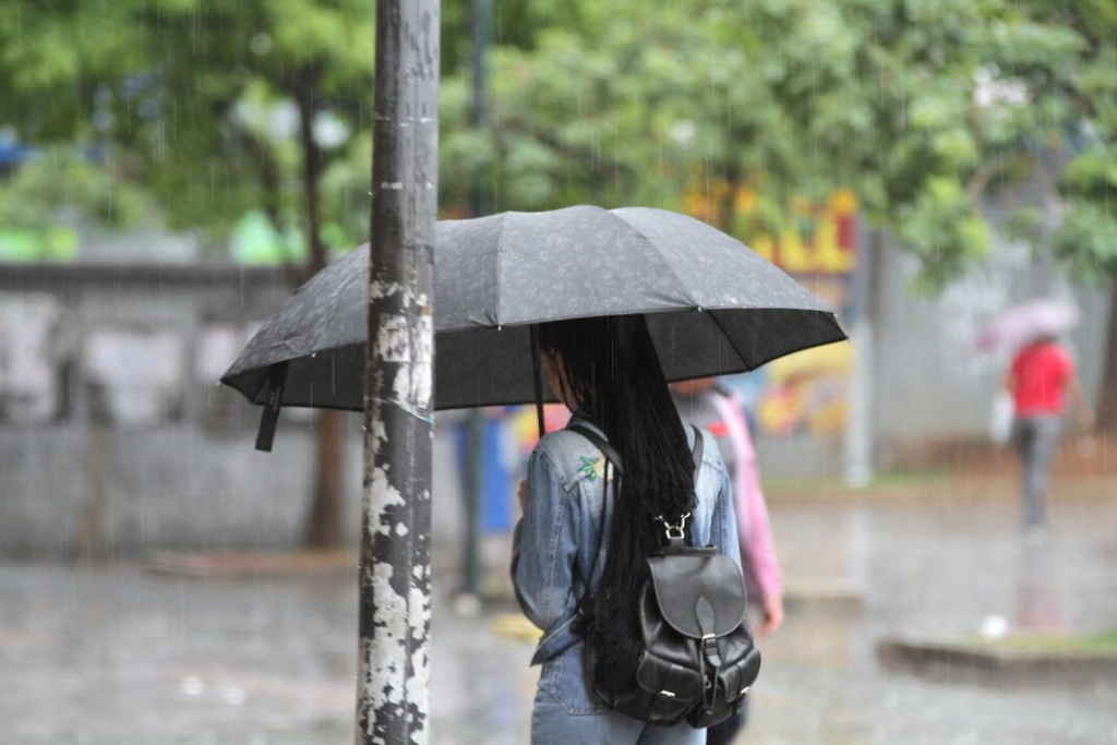 Vai esfriar? Saiba o que esperar do inverno que começa em 1 mês - Foto: Denny Cesare/Código 19