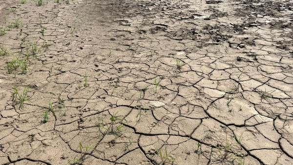 Falta de água: escassez de chuvas ou ausência de planejamento? — Foto: Emily Costa/ G1 RO