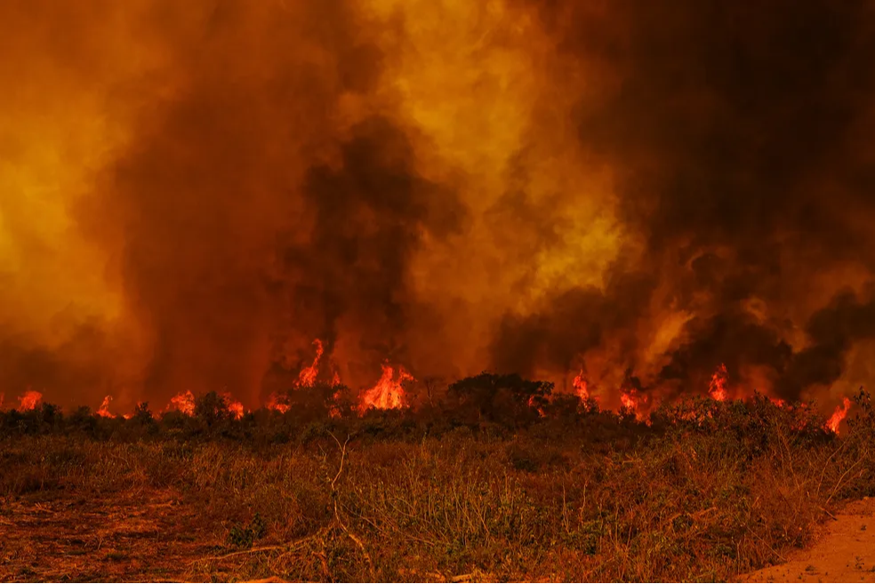 Áreas devastadas por incêndios crescem 411% nas cinco maiores cidades da região - Foto: Reprodução