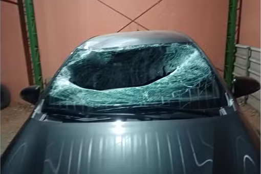 Motorista ferido após árvore cair em carro na Rodovia Campinas-Monte Mor — Foto: Reprodução/EPTV