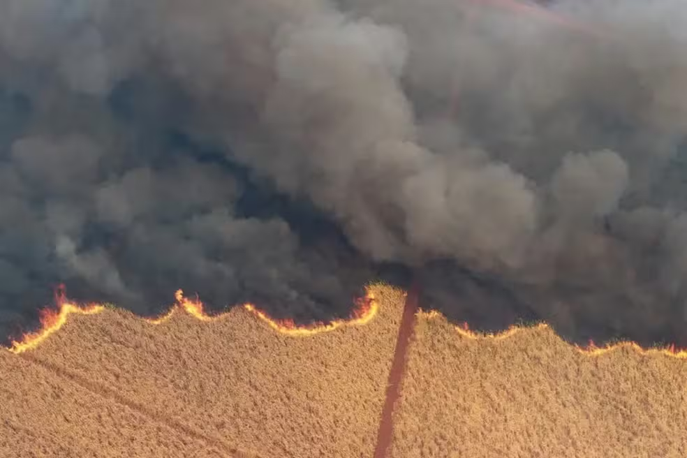 Mais da metade dos estados no país enfrenta o pior período de seca em 44 anos — Foto: Reuters