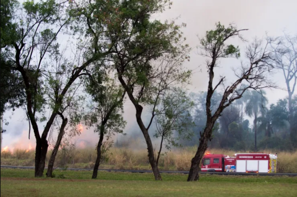 PF abre 32 inquéritos para investigar origem de incêndios florestais no país - Foto: VINCENT BOSSON/FOTOARENA/FOTOARENA/ESTADÃO CONTEÚDO