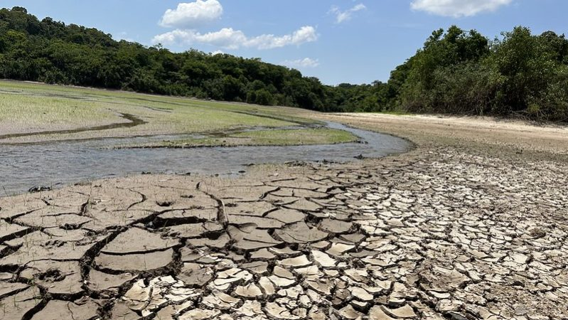 Seca histórica e incêndios florestais assolam o Brasil: a pior em quatro décadas - Foto: Prefeitura de Manaus