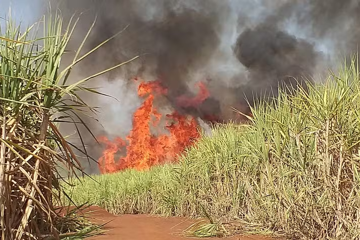 Incêndio atinge canavial na região do Capim Fino em Piracicaba — Foto: Reprodução/EPTV