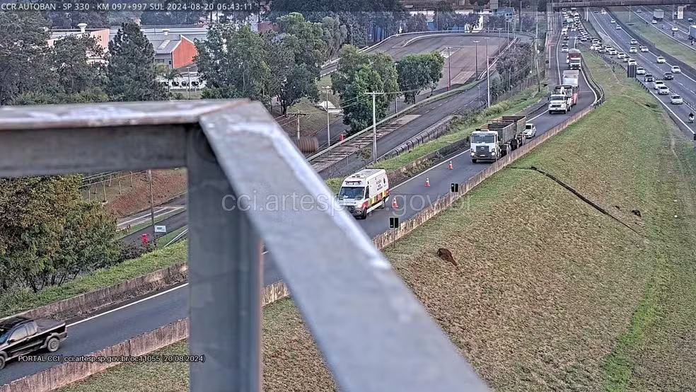 Homem morre atropelado em rodovia de Campinas e motorista foge sem prestar socorro — Foto: Artesp\Divulgação