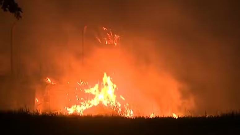 Incêndio de grandes proporções atinge área de mata e pastagem às margens da Anhanguera — Foto: Reprodução/EPTV