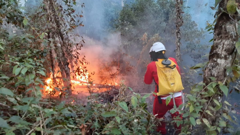 Defesa Civil de São Paulo emite alerta de risco de incêndios em todo o estado - Foto: Divulgação/ Governo de São Paulo