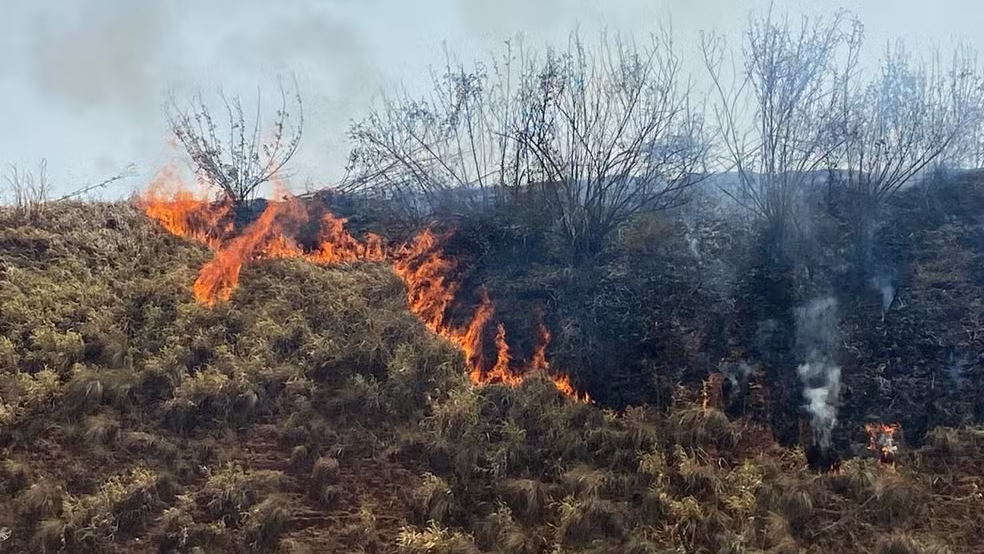 Incêndio em área de mata às margens da Rodovia Luiz de Queiroz deixa fumaça na pista — Foto: Edijan Del Santo/EPTV