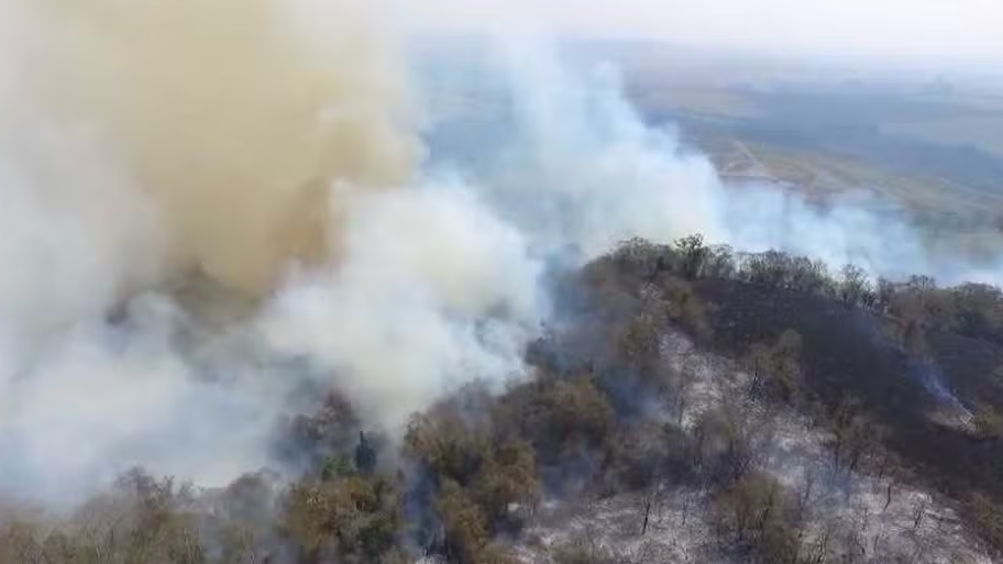 Incêndio atinge área de mata ao lado de rodovia SP-147 em Piracicaba e consome vegetação — Foto: Vanderlei Duarte/EPTV