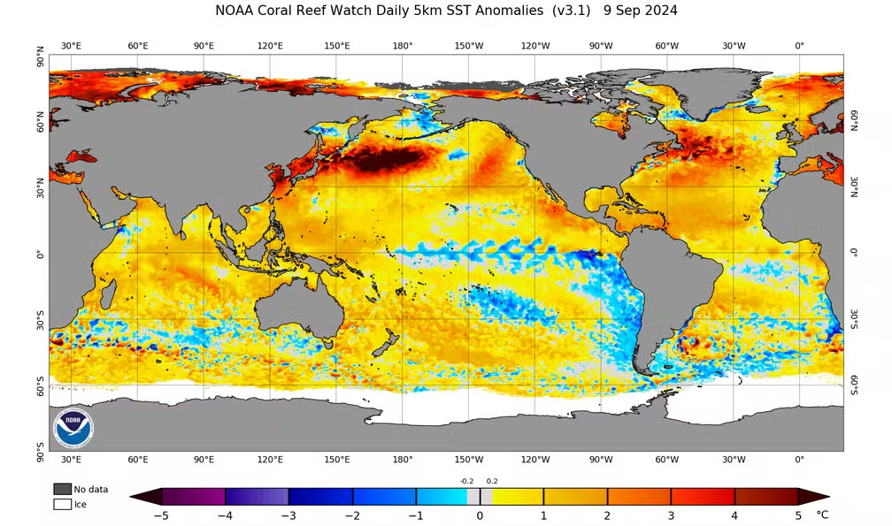 La Niña, fenômeno que pode ajudar a diminuir calor atual, tem 60% de chance de ocorrer — Foto: NOAA