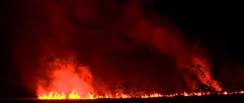 Incêndio atinge área de vegetação e destrói horta comunitária no distrito de Barão Geraldo, em Campinas — Foto: Reprodução/EPTV