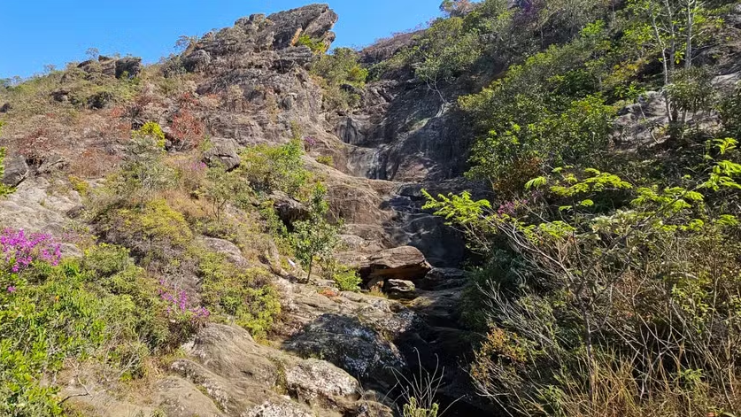 Sem chuva há 100 dias, cachoeira histórica desaparece em MG — Foto: Robson Panzera/TV Integração