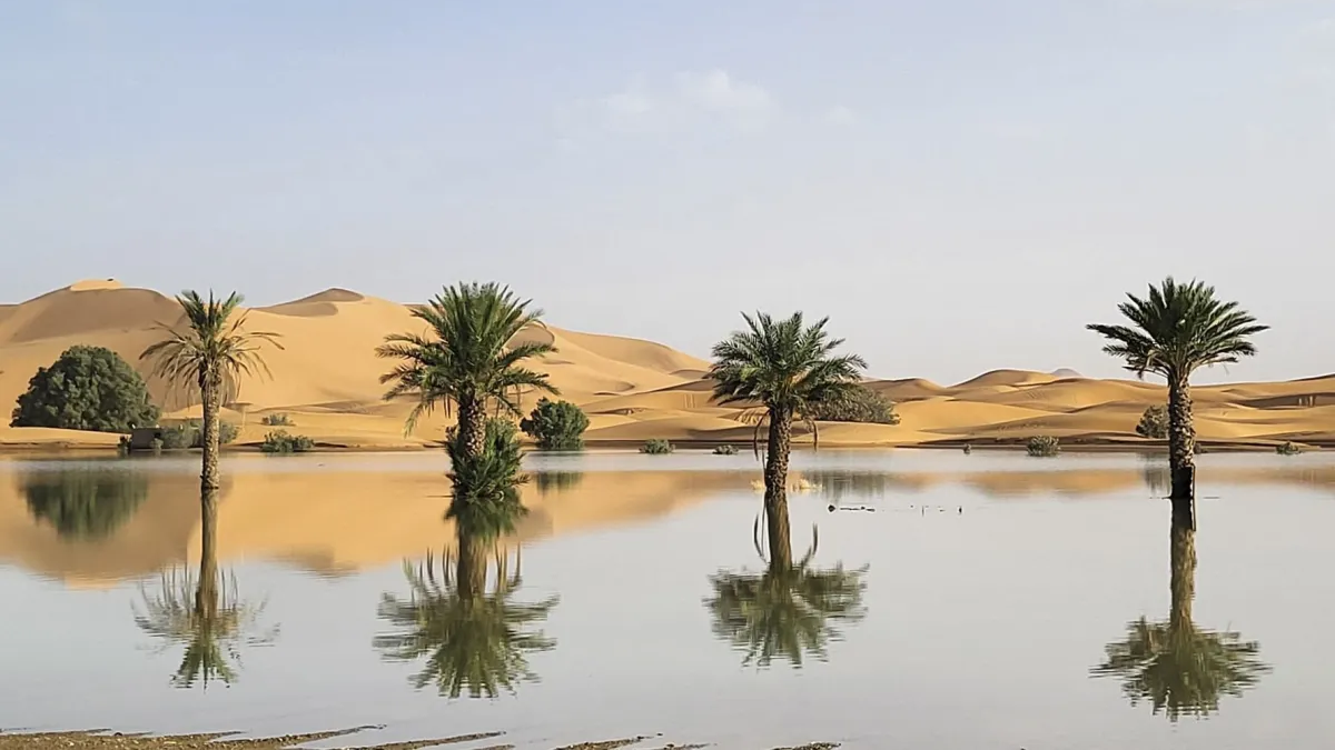 Chuva histórica cria lagos inéditos entre as dunas no Deserto do Saara - AP via CNN Newsource