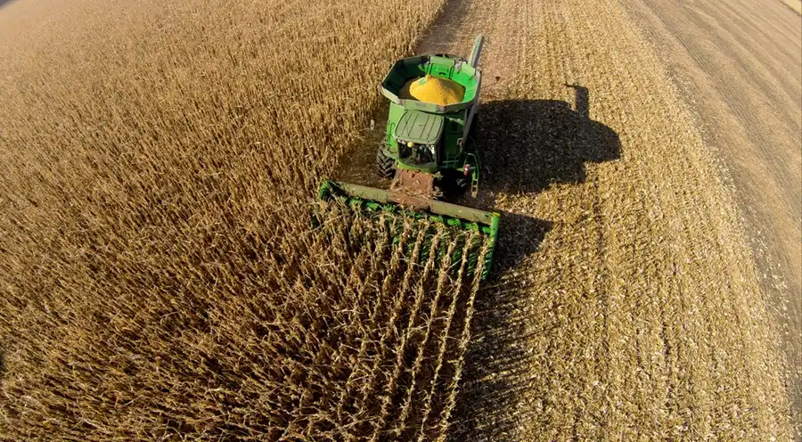 Queda nos preços e na produção de soja, milho e cana afeta PIB do agronegócio brasileiro - Foto: Reprodução