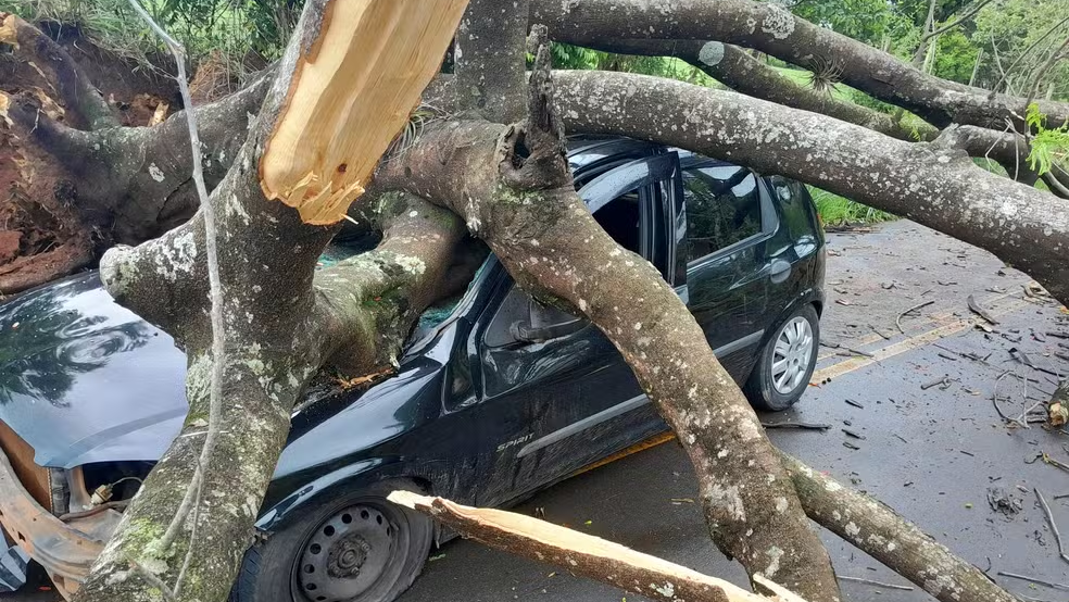 Temporais no estado de SP deixam quatro mortos e duas pessoas desaparecidas — Foto: Defesa Civil de Itapira