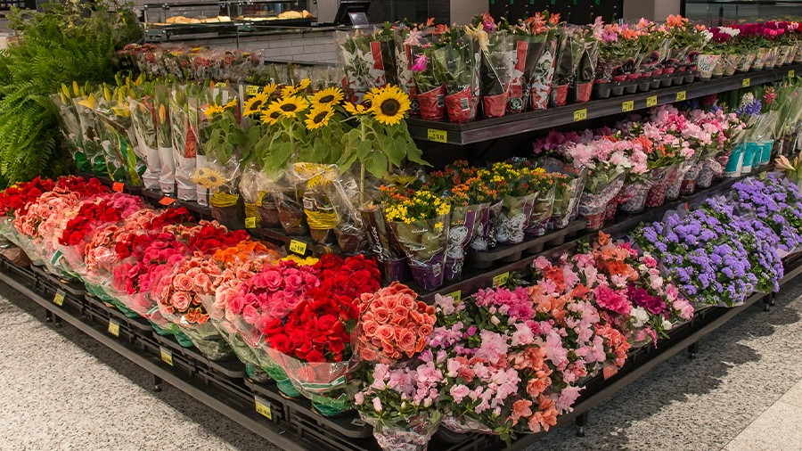 Vendas de flores para o Dia de Finados devem crescer 6% a 7% em 2024 - Foto: Reprodução