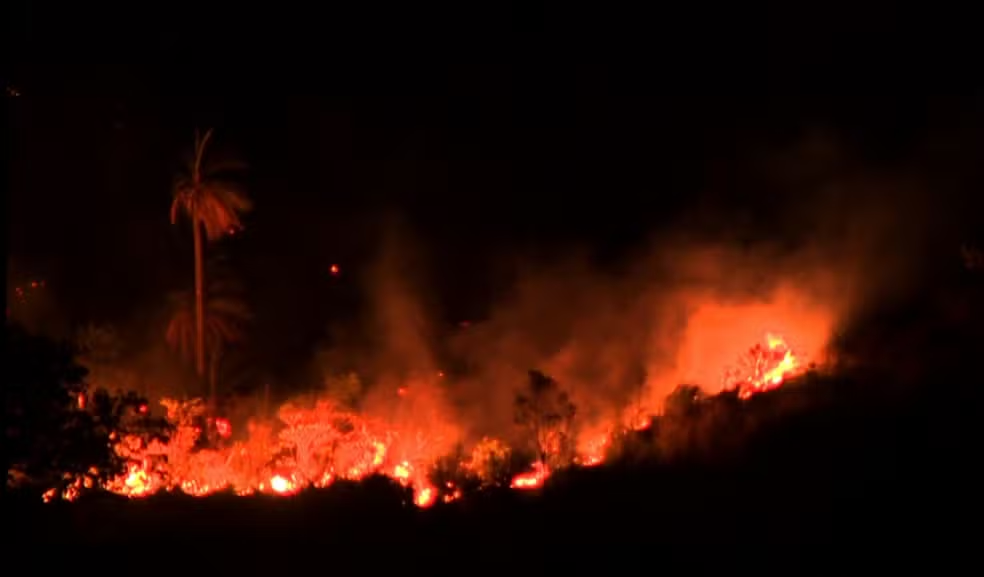 Incêndio em área de mata perto da PUC-Campinas assusta moradores e estudantes  — Foto: Reprodução/EPTV