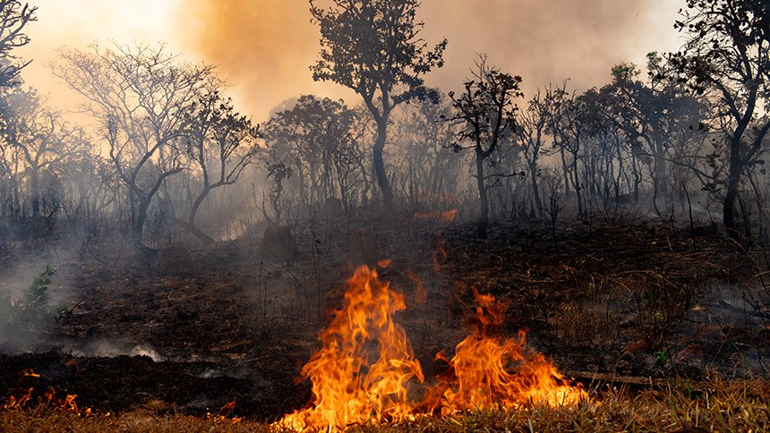 Senado destaca papel de prefeitos e vereadores no enfrentamento da crise climática - Foto: Leopoldo Silva/Agência Senado