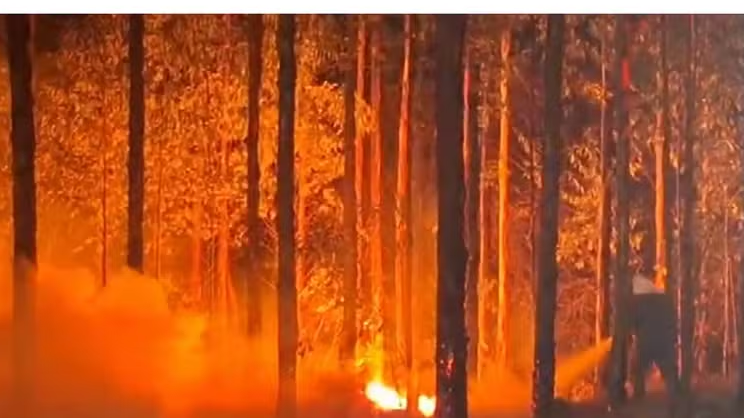 Incêndio em mata perto do pedágio da Anhanguera em Nova Odessa e se espalha por Americana — Foto: Reprodução / EPTV