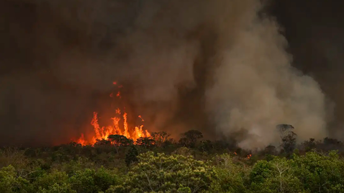 Brasil tem 22,38 milhões de hectares atingidos pelo fogo em nove meses - Foto: Marcelo Camargo/Agência Brasil