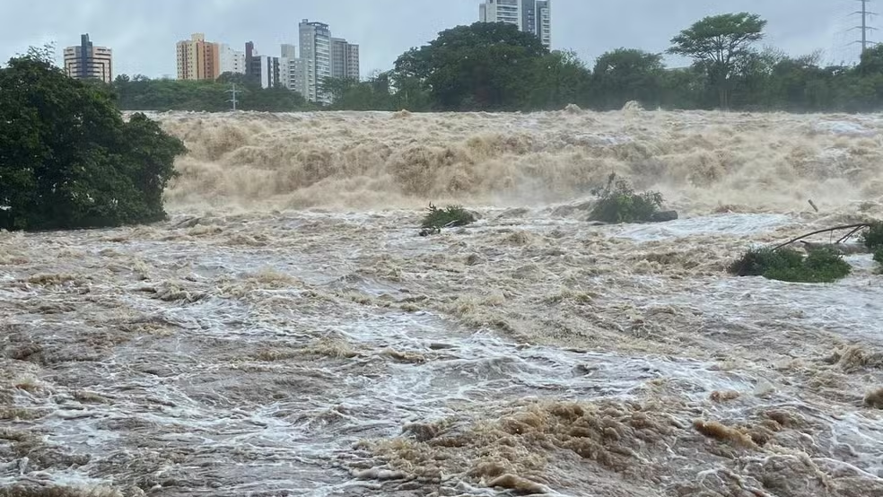 Chuvas elevam nível e vazão do Rio Piracicaba acima da média de novembro em três dias — Foto: Edijan Del Santo/EPTV